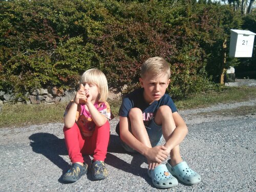 IMG_20130907_113609.jpg image