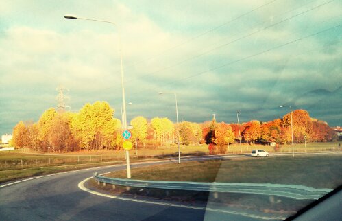 IMG_20131014_083436.JPG image