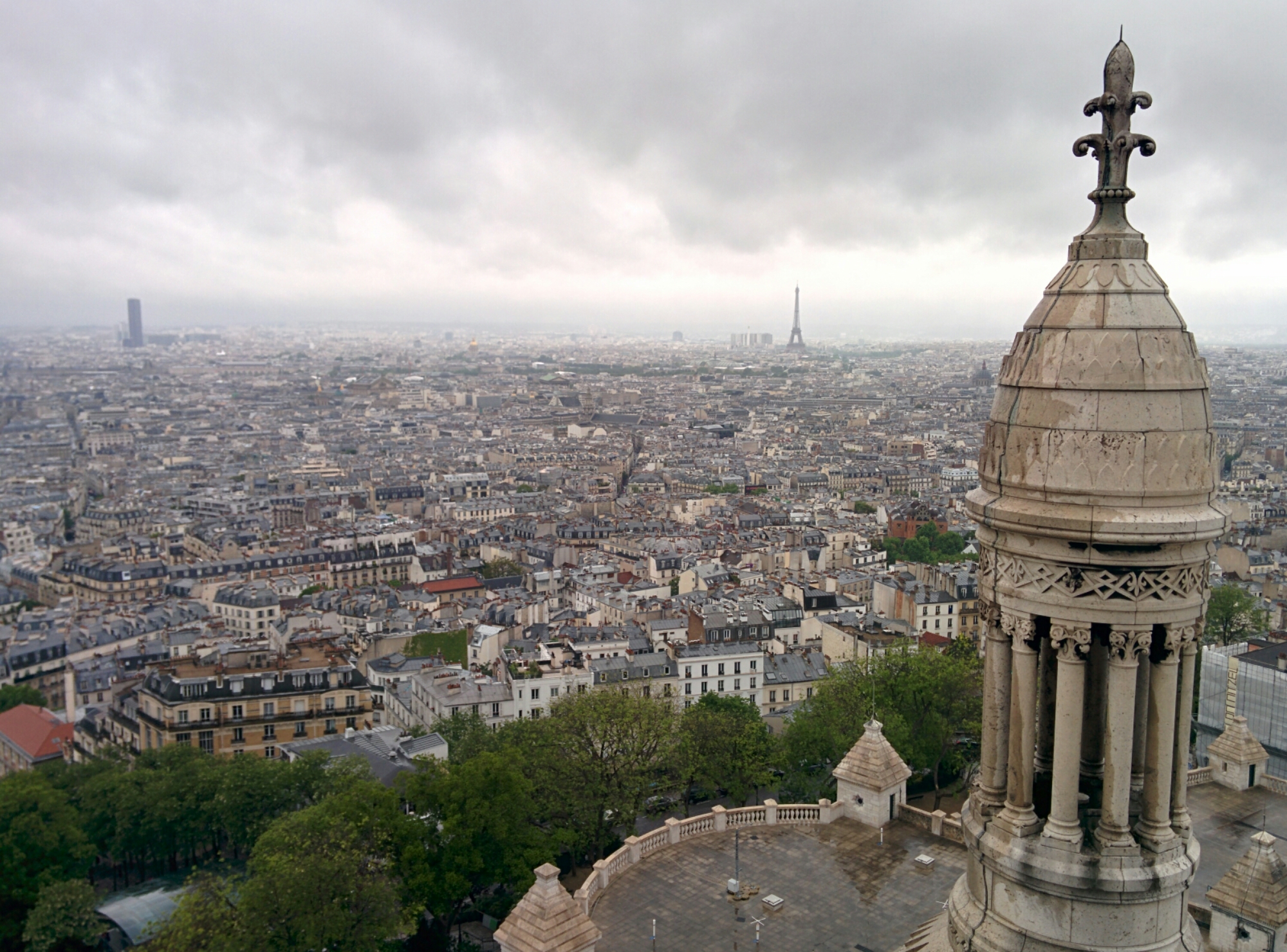 IMG_20140510_134416.jpg image
