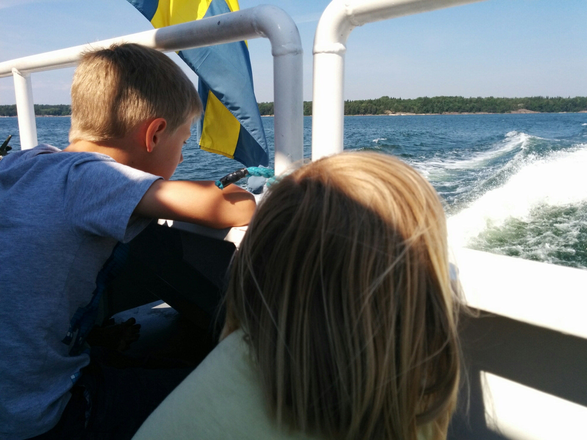 IMG_20140710_112140.jpg image