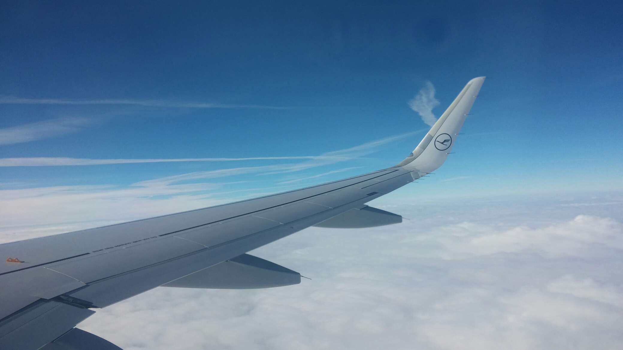 20150129_134041.jpg image