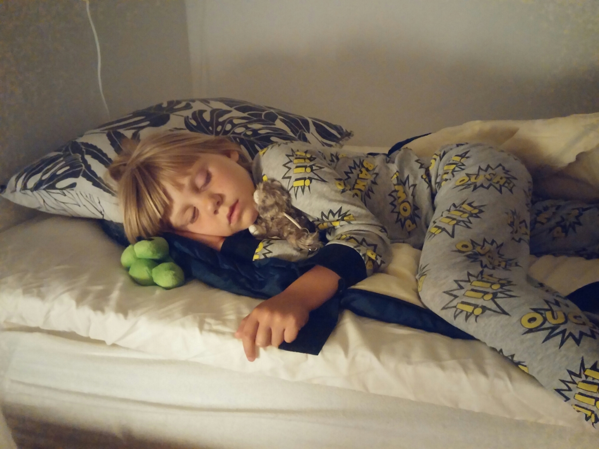 wp-1437413268352 image