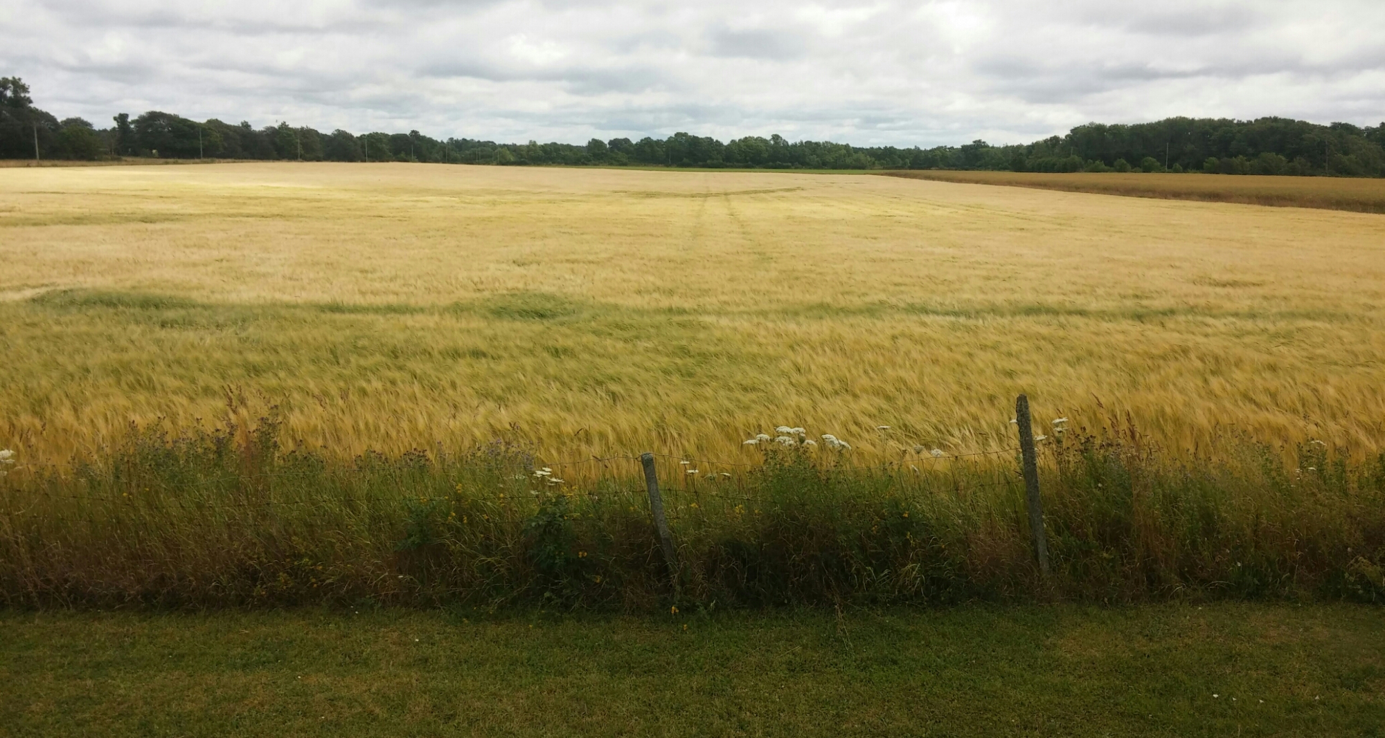 wp-1437413685075 image
