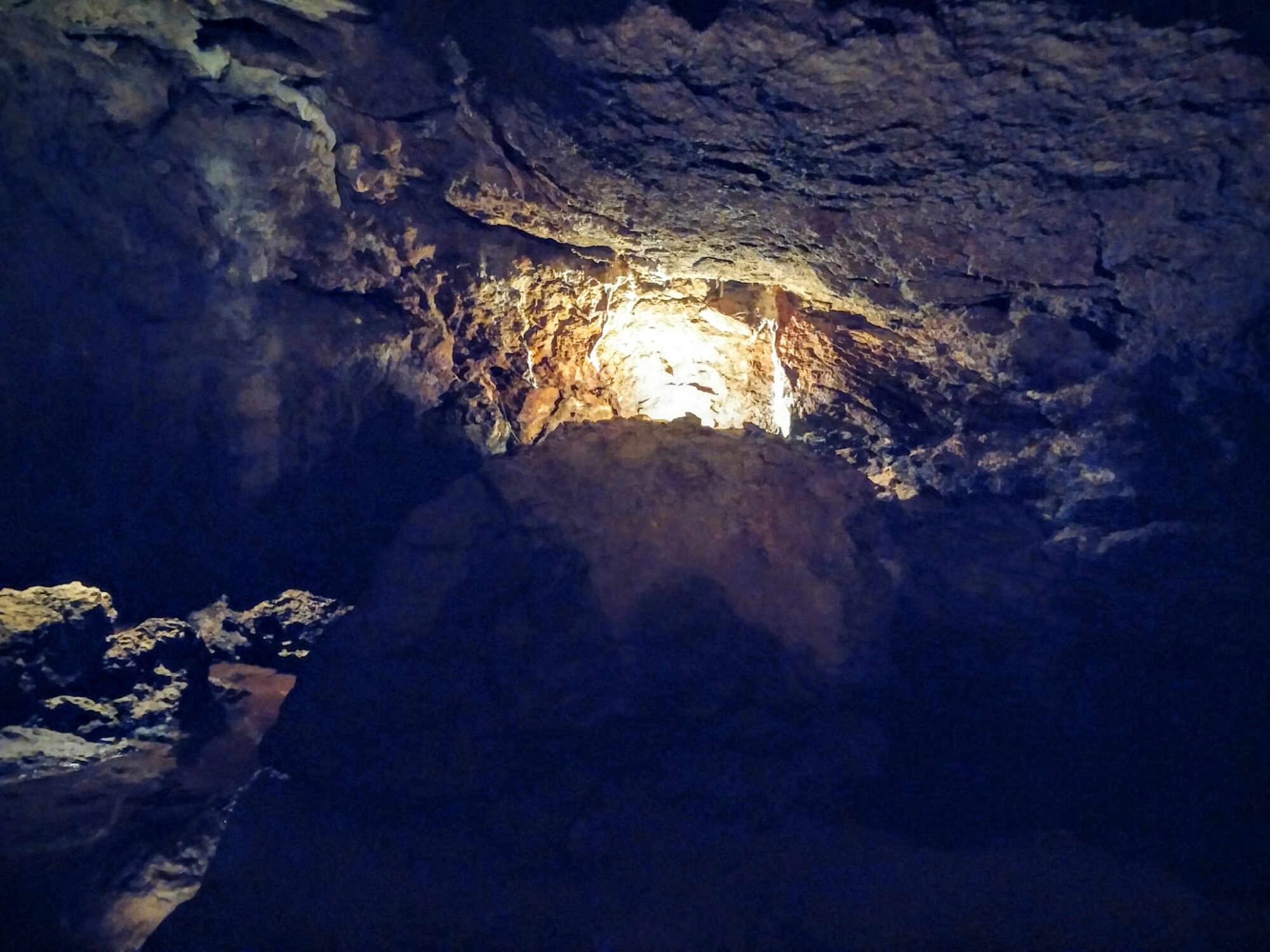 wp-1437413715882 image