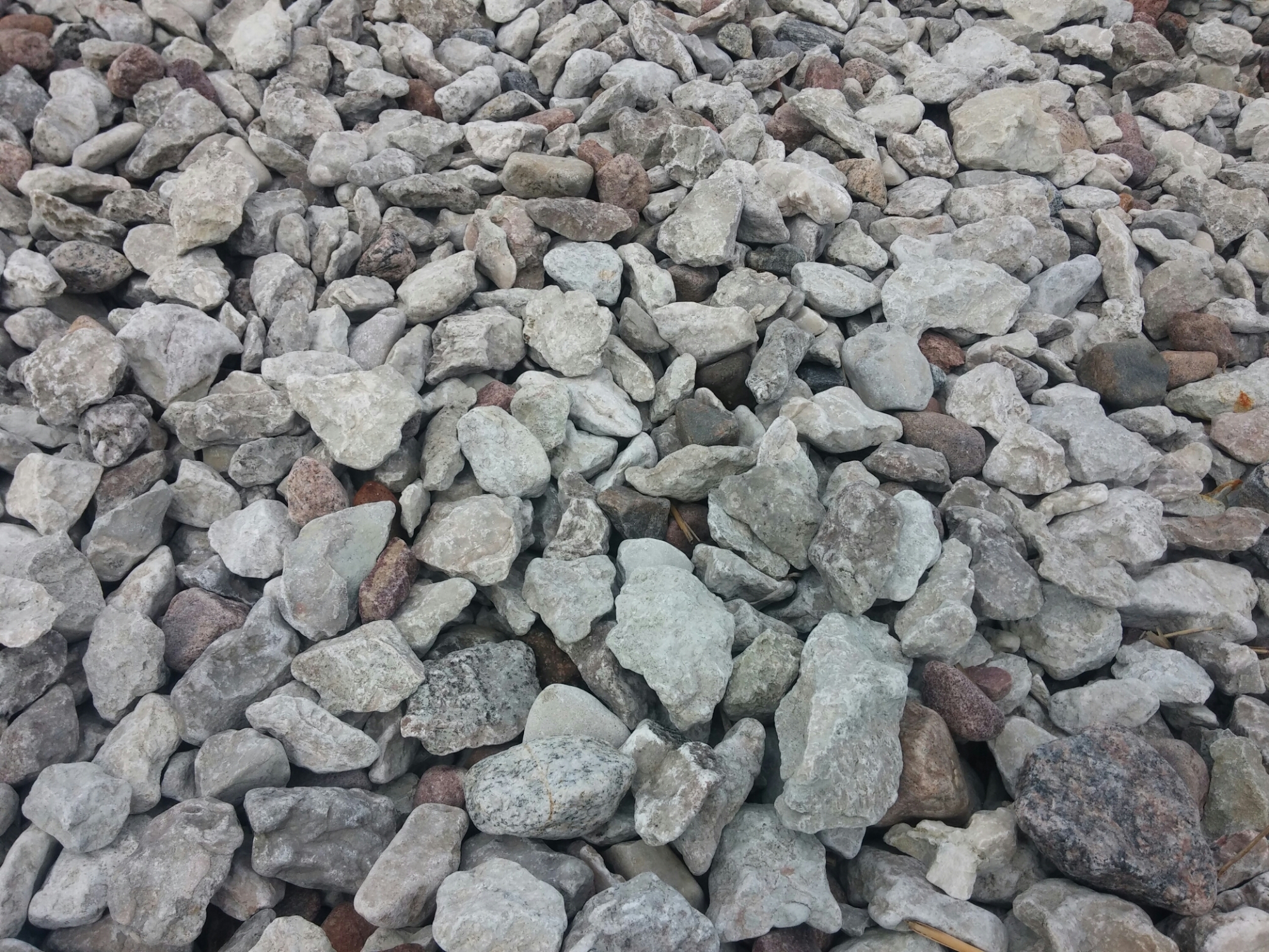 wp-1437674025052 image