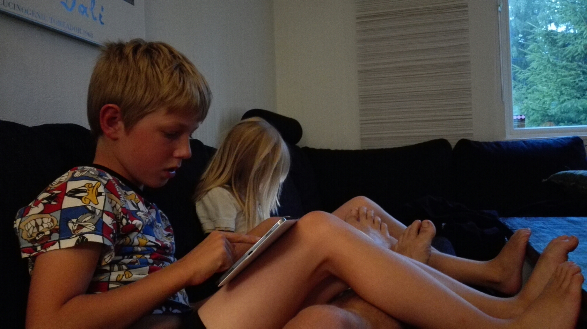 IMG_20150805_211107.jpg image